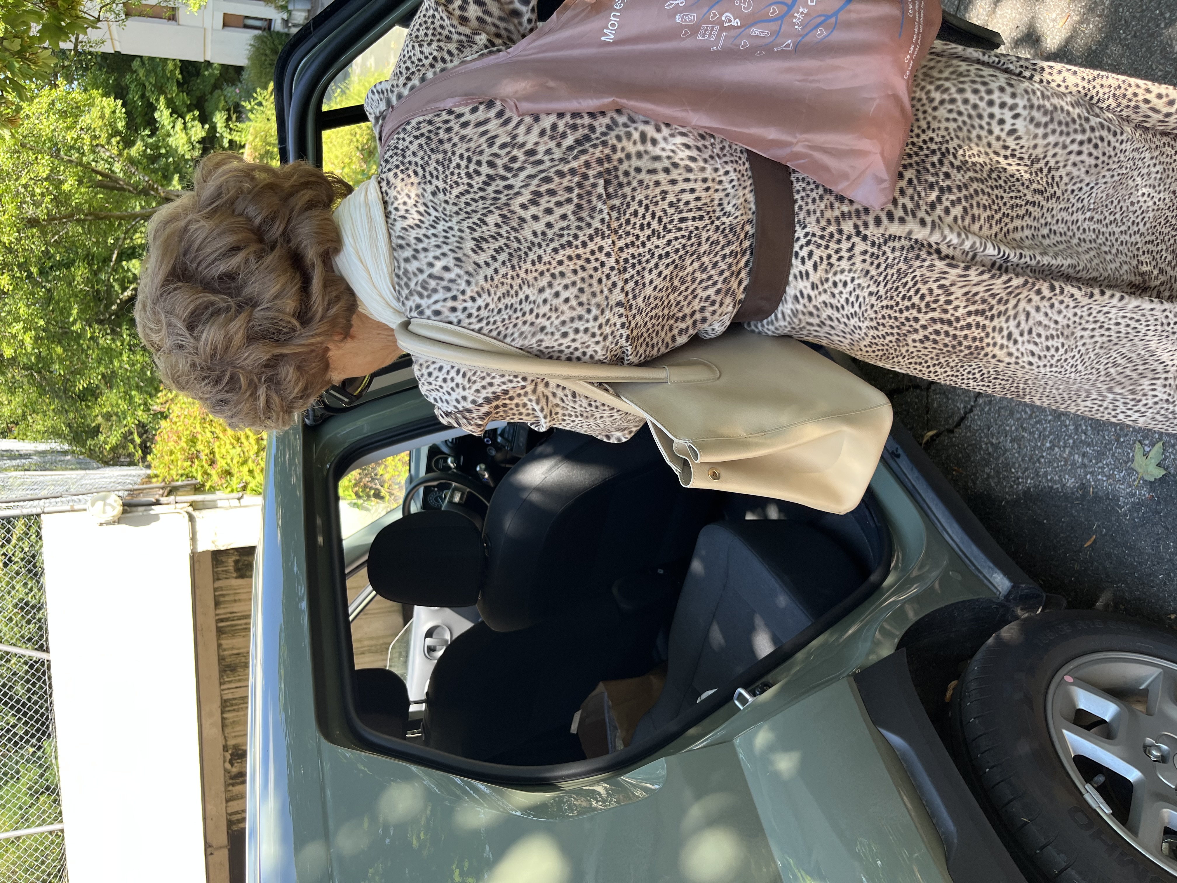 accompagnement voiture tassin la demi lune
